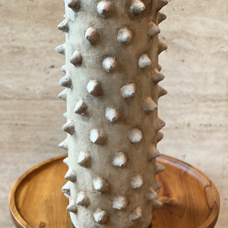 VASO EM TERRACOTA ESPINHO 42X14X42 CM